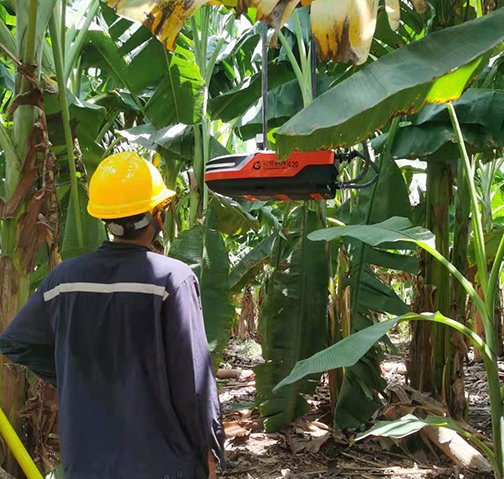 廣西南寧房線矛盾 帶電絕緣涂覆機(jī)器人來(lái)解決