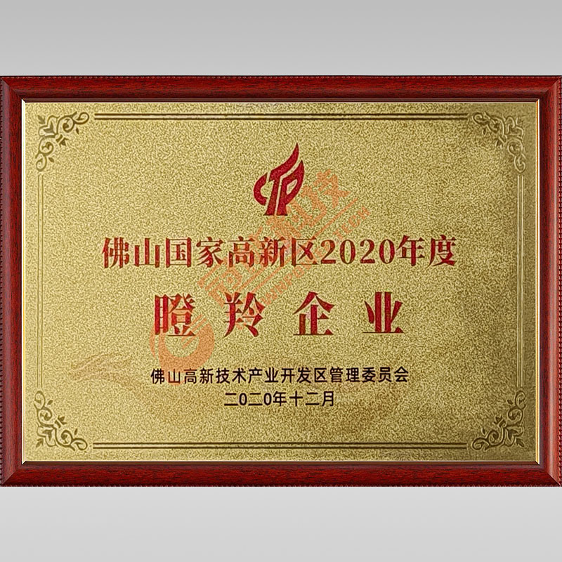 國家高新區(qū)2020年度瞪羚企業(yè)